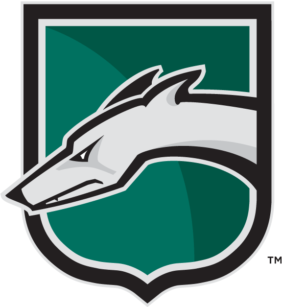 Loyola-Maryland Greyhounds 2002-Pres Alternate Logo v2 iron on transfers for fabric